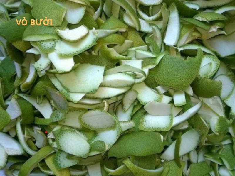 Dầu Gội Thảo Dược Organic Cho Mái Tóc Khỏe Mạnh Tự Nhiên